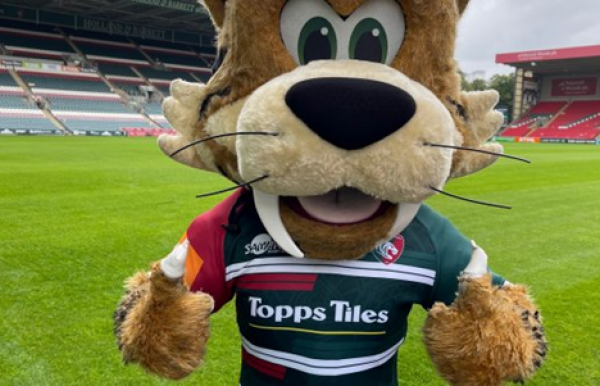 Welford the Leicester Tigers mascot heading to Charnwood Museum to meet a famous stripy friend